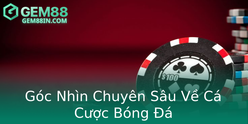 Góc Nhìn Chuyên Sâu Về Cá Cược Bóng Đá