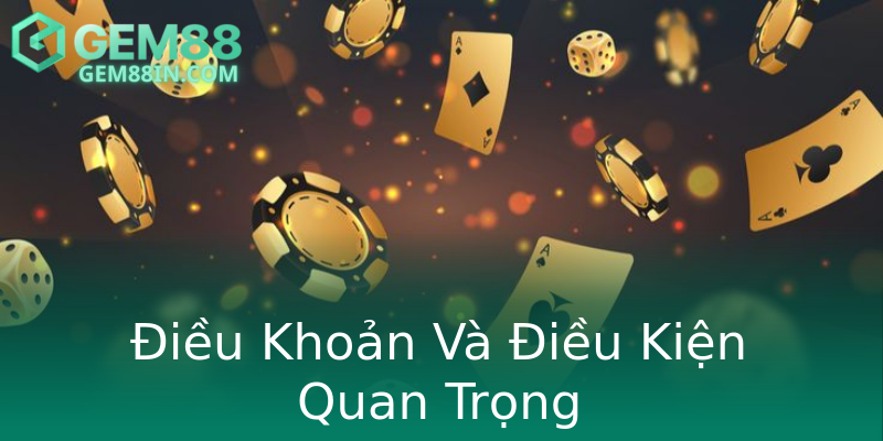 Điều Khoản Và Điều Kiện Quan Trọng