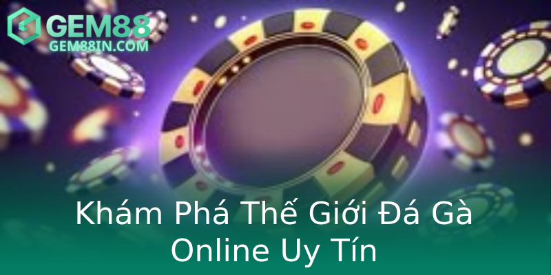 Khám Phá Thế Giới Đá Gà Online Uy Tín Khám Phá Thế Giới Đá Gà Online Uy Tín
