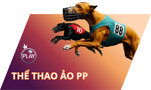 Gem88 - Link Đăng Ký Gem88 | Tải Xuống Gem88.Com T9 Năm 2025 18 The Thao Ao Pp