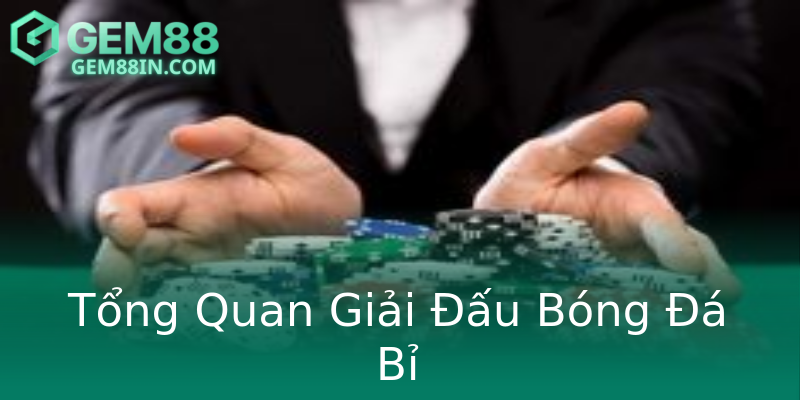 Tổng Quan Giải Đấu Bóng Đá Bỉ Tổng Quan Giải Đấu Bóng Đá Bỉ